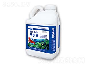 �ך���-�sҫ�r(n��ng)�I(y��)