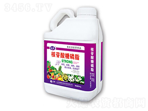 ����������֬-�sҫ�r(n��ng)�I(y��)