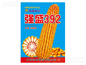 ��ʢ392-���׷N��-��ʢ�N�I(y��)