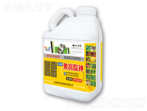 �������S�����-�sҫ�r(n��ng)�I(y��)