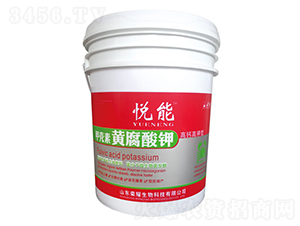 �ך����S�����-����-�sҫ�r(n��ng)�I(y��)