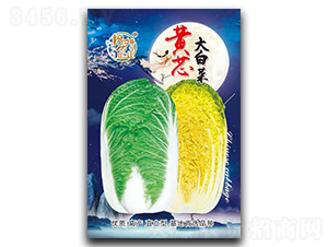 �Sо��ײ˷N��-�����r(n��ng)�I(y��)