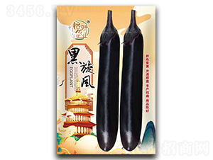 �����L(f��ng)-�����N��-�����r(n��ng)�I(y��)