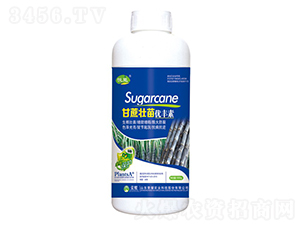 ������烞(y��u)�S�أ�ƿ��-����-�sҫ�r(n��ng)�I(y��)