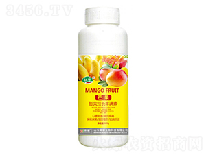 â��������L�S�M�أ�500g��-����-�sҫ�r(n��ng)�I(y��)