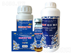 ΢�������-�弚(x��)�`�Z��ø��-�A��(chu��ng)