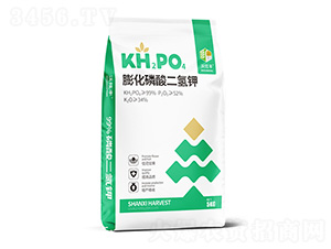 ����������-�����S-�ɿ����ʘI(y��)