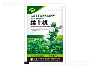 �����ң�����-����-�sҫ�r(n��ng)�I(y��)