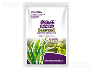 ø�⺣�徫-ِʩ��-�sҫ�r(n��ng)�I(y��)