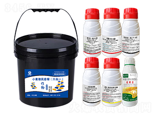 С�������ײͣ�����һ��-�l(xi��ng)�弾�L