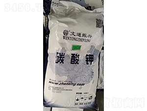 ̼��⛴��ӹ�