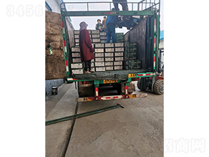 ��Ʒ����(9)