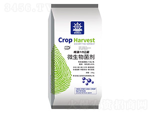 ����10�|��΢�������-��֮��