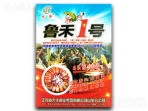 ����1̖-���׷N��-ꃉ����A