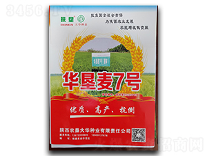 �A����7̖-С���N��-ꃉ����A