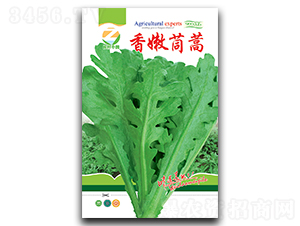 ��������-����N��-�����r(n��ng)�I(y��)