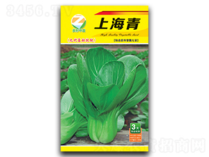 �Ϻ���N�ӣ��Ŵ���(f��)���ἃ��-�����r(n��ng)�I(y��)