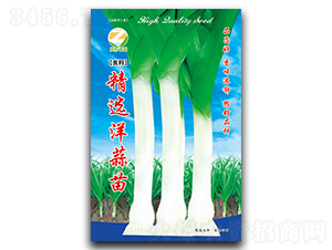 ���x������-����N��-�����r(n��ng)�I(y��)