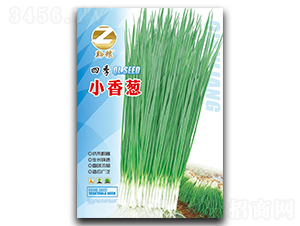 �ļ�С���[�N��-�����r(n��ng)�I(y��)