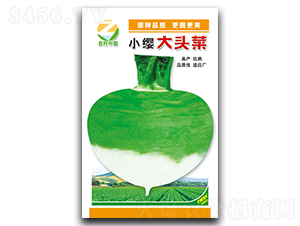 С�t���^��-��˷N��-�����r(n��ng)�I(y��)