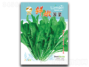 �����j�˷N��-�����r(n��ng)�I(y��)