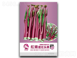 �t���n�t�^��-��̦�N��-�����r(n��ng)�I(y��)