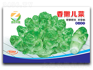 ���ۃ���-��˷N��-�����r(n��ng)�I(y��)