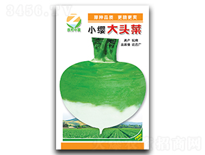 С�t���^�˷N��-�����r(n��ng)�I(y��)