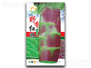 Ұ��t��-�n�S�N��-�����r(n��ng)�I(y��)