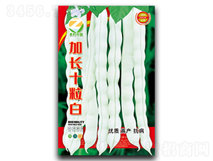 ���Lʮ����-�����N��-�����r(n��ng)�I(y��)