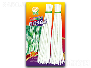 �����L����-�����N��-�����r(n��ng)�I(y��)