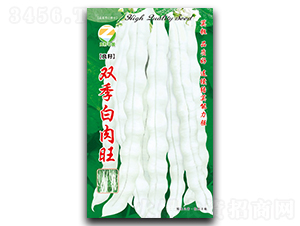 �p��������-�����N��-�����r(n��ng)�I(y��)