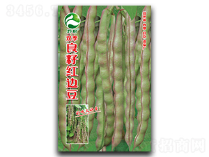 �p�����Ѽt߅��-�����N��-�����r(n��ng)�I(y��)