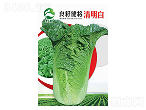 �ײ˷N��-���ѽ���������-�����r(n��ng)�I(y��)