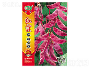 �tϼ��ⶹ-�f��N�I(y��)