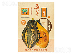 ����С�Ϲ�-�f��N�I(y��)