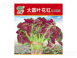 ��A�~���tľ���{�˷N��-�f��N�I(y��)