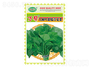 �f�ʹ�A�~��Ŵ���{�˷N��-�f��N�I(y��)