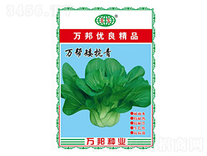 �f�Ͱ������๣�˷N��-�f��N�I(y��)