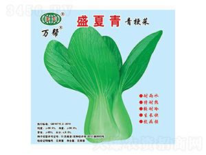 ʢ�����๣�˷N��-�f��N�I(y��)