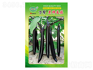 �ڎ��L�ѷN��-�f��N�I(y��)