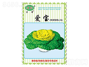 �ی����ذ����S�Ğ��������˷N��-�f��N�I(y��)