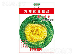 �������S���ذ��ͣ������˷N��-�f��N�I(y��)