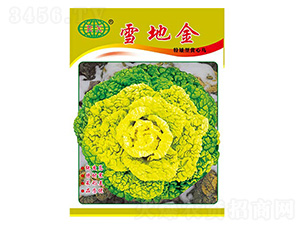 ѩ�ؽ��ذ��ͣ�-�����˷N��-�f��N�I(y��)