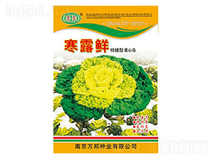 ��¶�r�����˷N��-�f��N�I(y��)