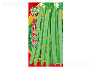 ���������ļ����N��-�f��N�I(y��)