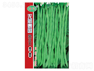 �o��̩���ܶ��N��-�f��N�I(y��)