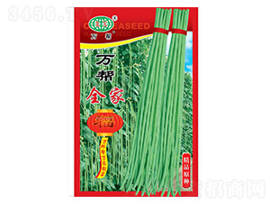 ����ȫ�Ҹ������N��-�f��N�I(y��)