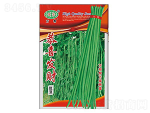 ��ϲ�l(f��)ؔ�����N��-�f��N�I(y��)