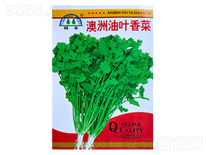 �������~���-��˷N��-���S�N��